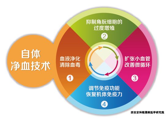 自体免疫技术